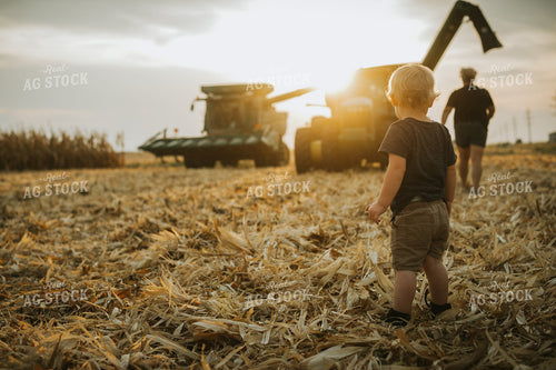 Farm Kid and Parent in Corn Field with Machinery 5270