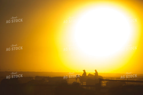 Feedyard Cowboys Pen Riders at Sunrise 3810
