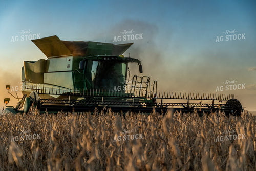 Soybean Harvest 65048
