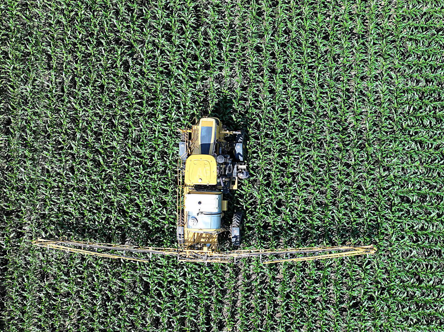Aerial of Spraying 141578