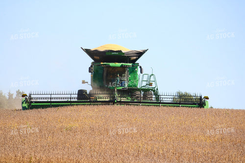 Soybean Harvest 82356