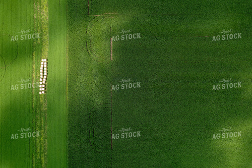 Aerial View of Farmland 92013