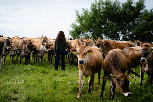 Female Farmer in Pasture with Jersey Cattle 181029