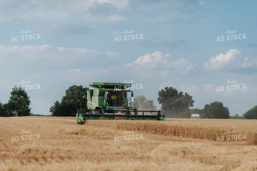 Wheat Harvest 115178