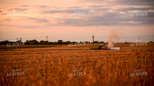 Grain Cart Unloading into Semi Truck in Soybean Field at Sunset 25740