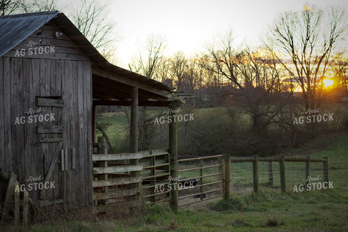 Summer Pasture 251152