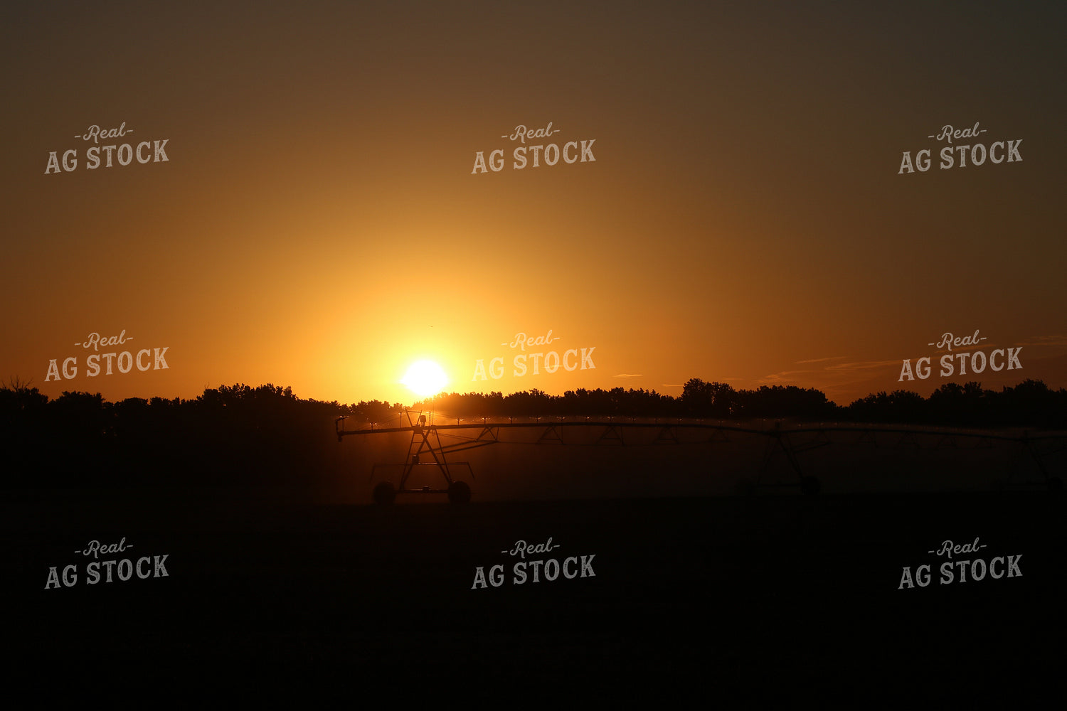 Irrigation System at Sunset 82000