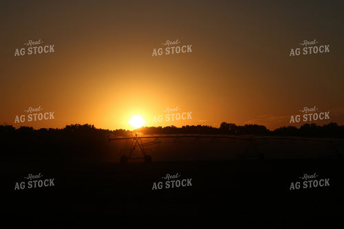 Irrigation System at Sunset 82000