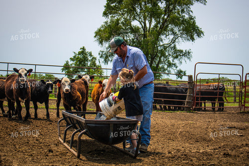 Farmer and Farm Kid Feeding Cattle 214152