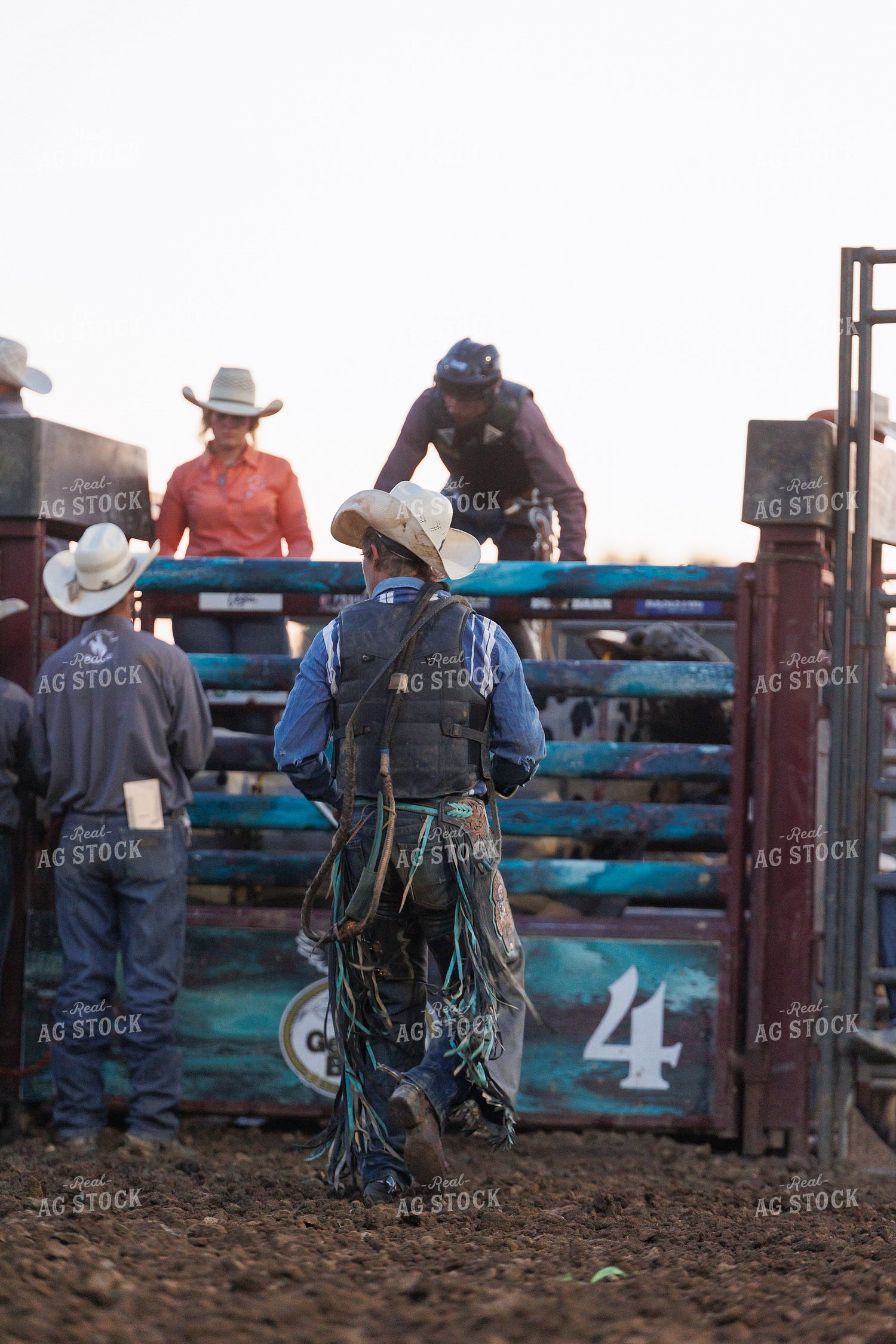 Rodeo 295153