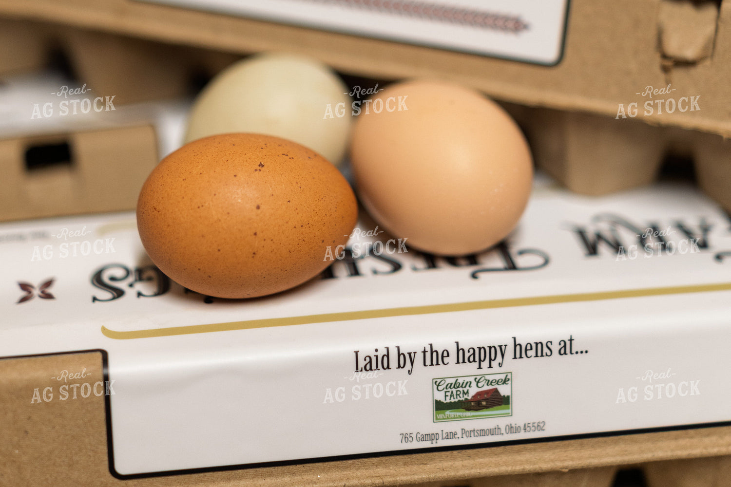 Eggs 295037