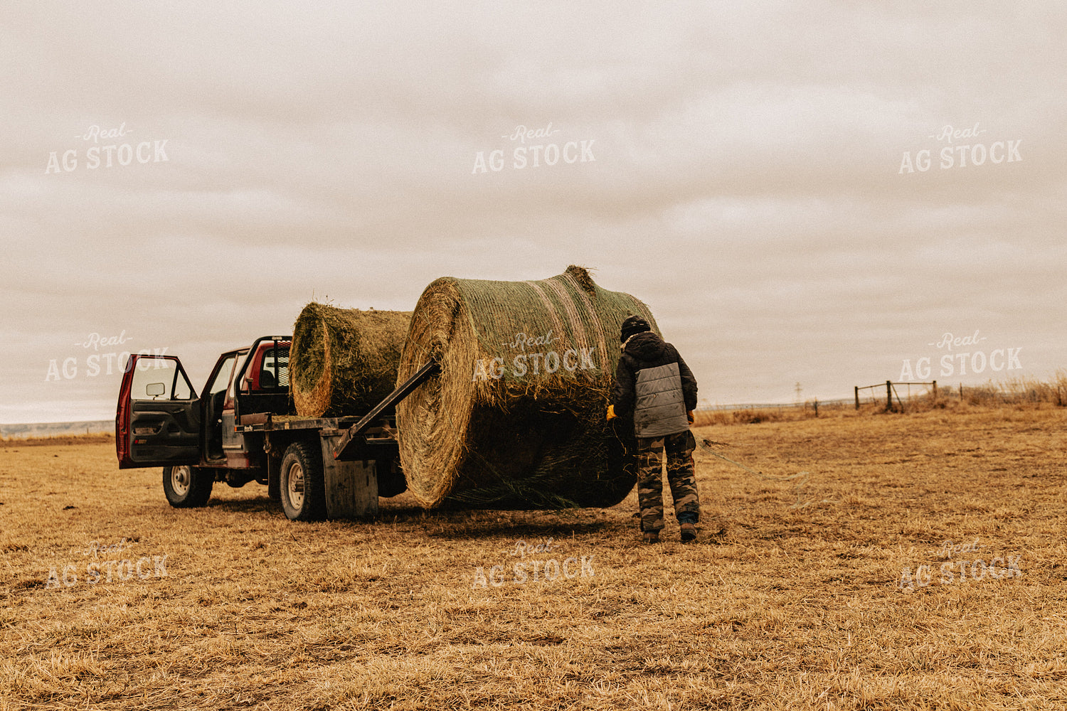 Rancher Unwrapping Hay Bale 61088