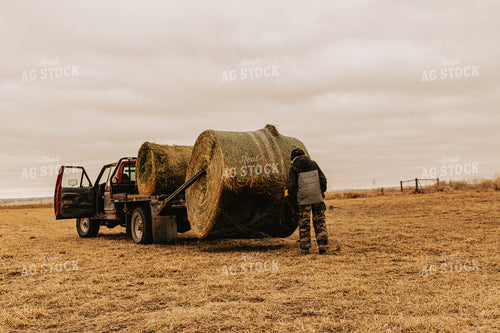 Rancher Unwrapping Hay Bale 61088
