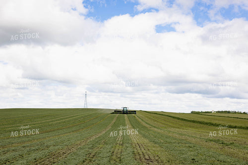 Merging Forage 152449