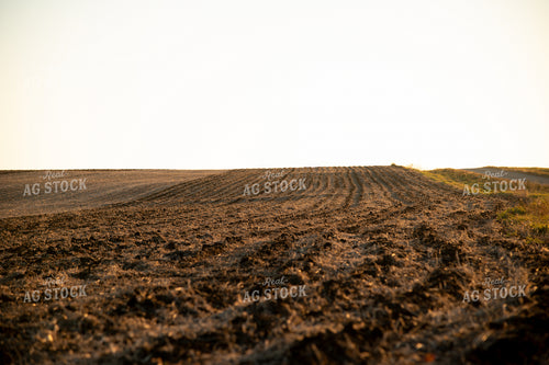 Tilled Ground at Sunrise 25880