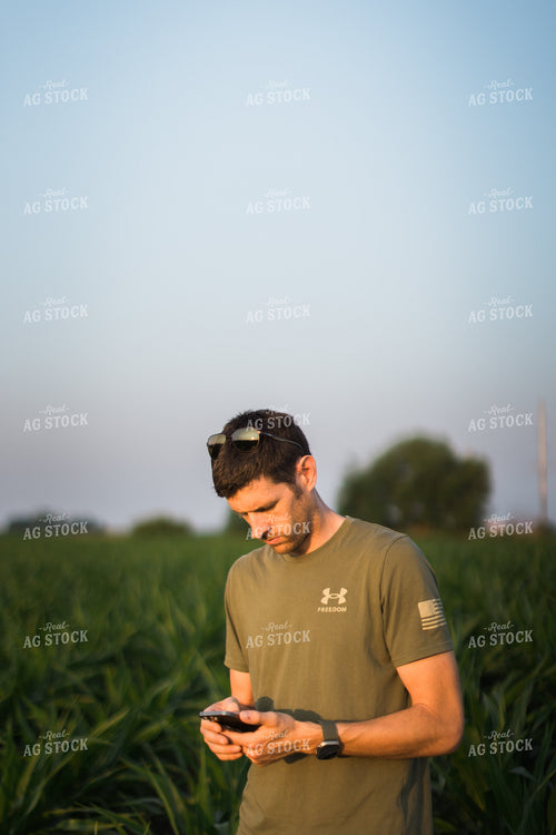 Young Farmer Using Phone in Corn Field 8158