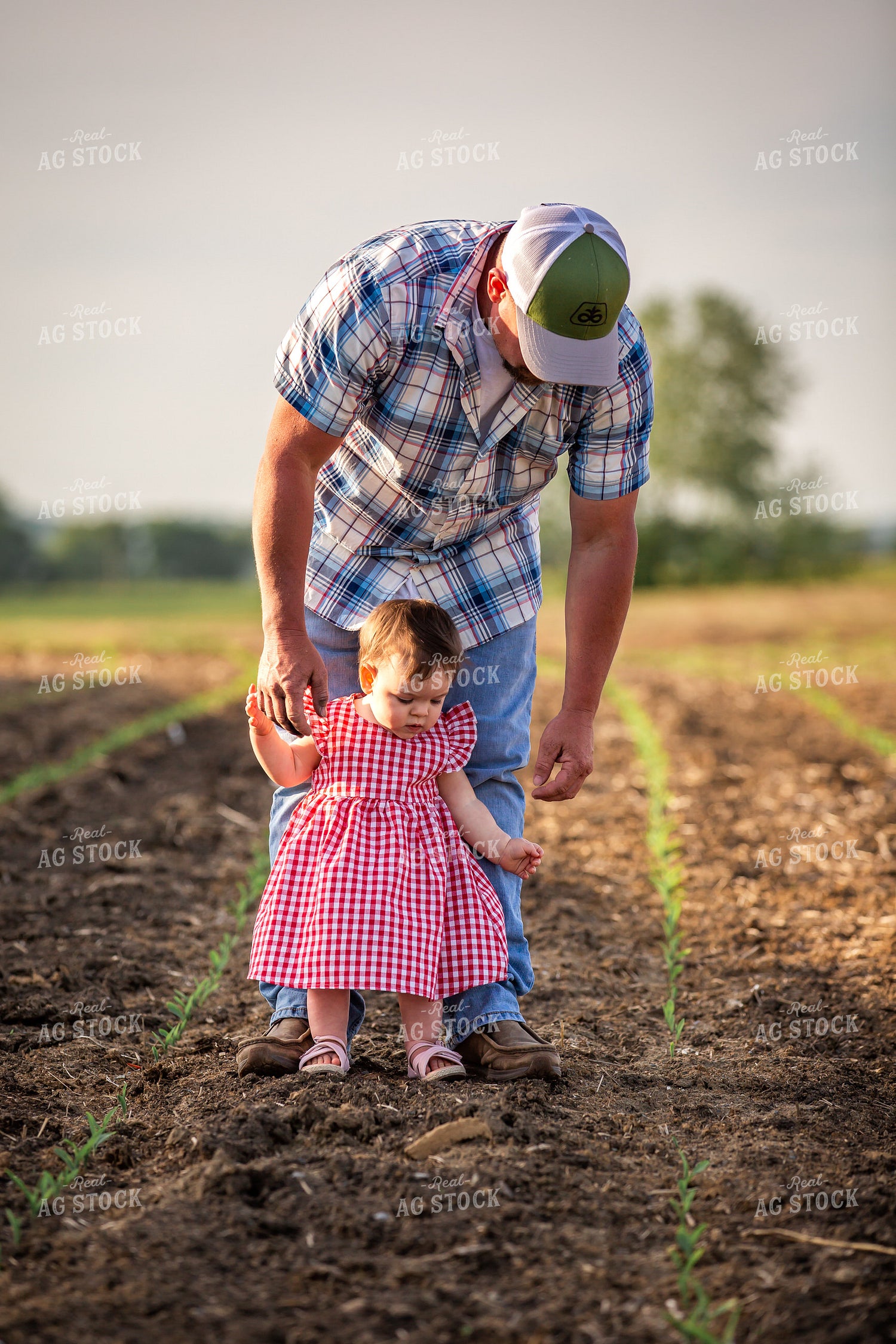 Farmer and Daughter Checking Corn 270016