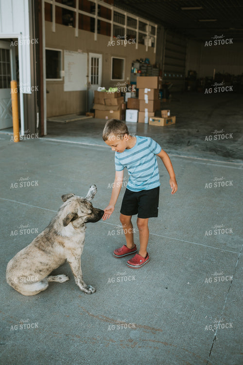 Farm Kid Playing with Dog 6217