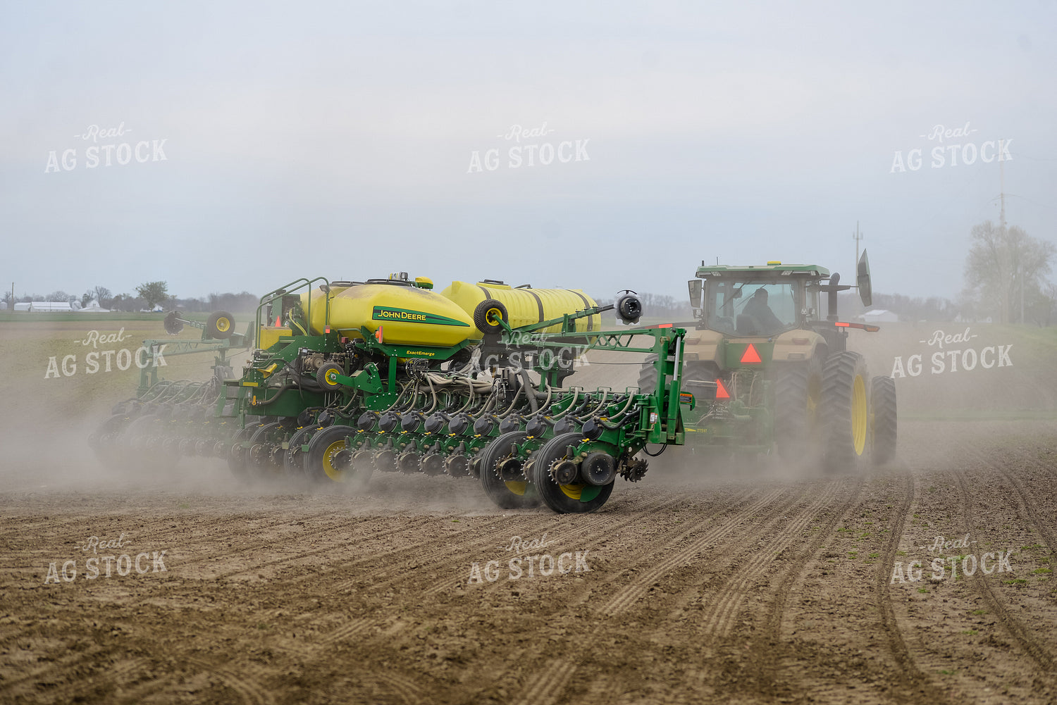 Planting 151003