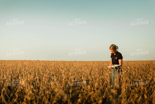 Female Agronomist Checking Beans 8303