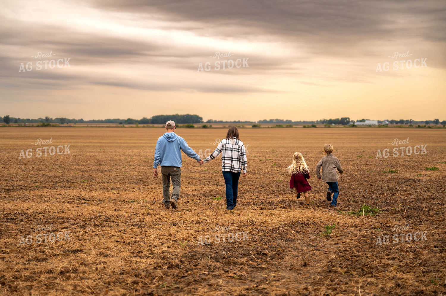 Farm Family Walking in Field 115421