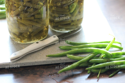 Canned and Fresh Green Beans 73040
