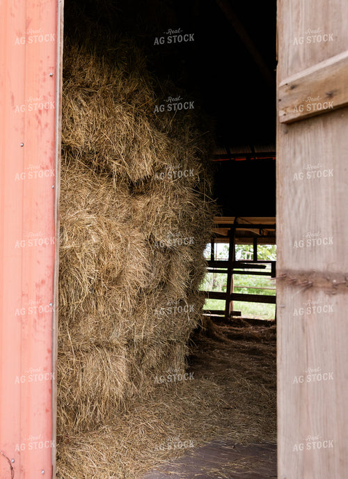 Hay Mound 143028