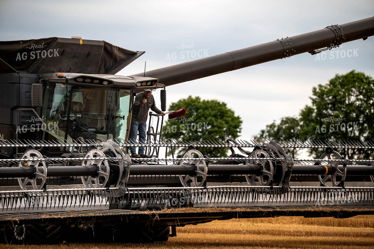 Wheat Harvest 115976
