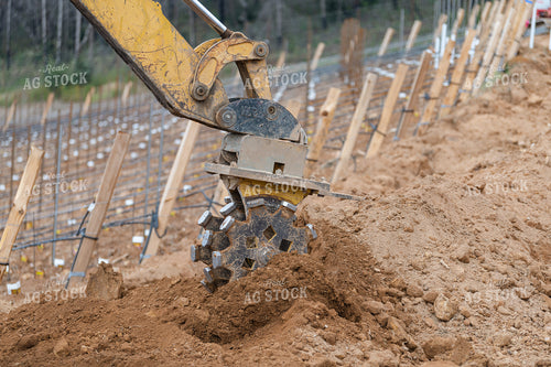 Vineyard Grape Production 107029