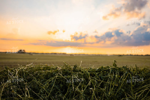 Chopped Silage 152132