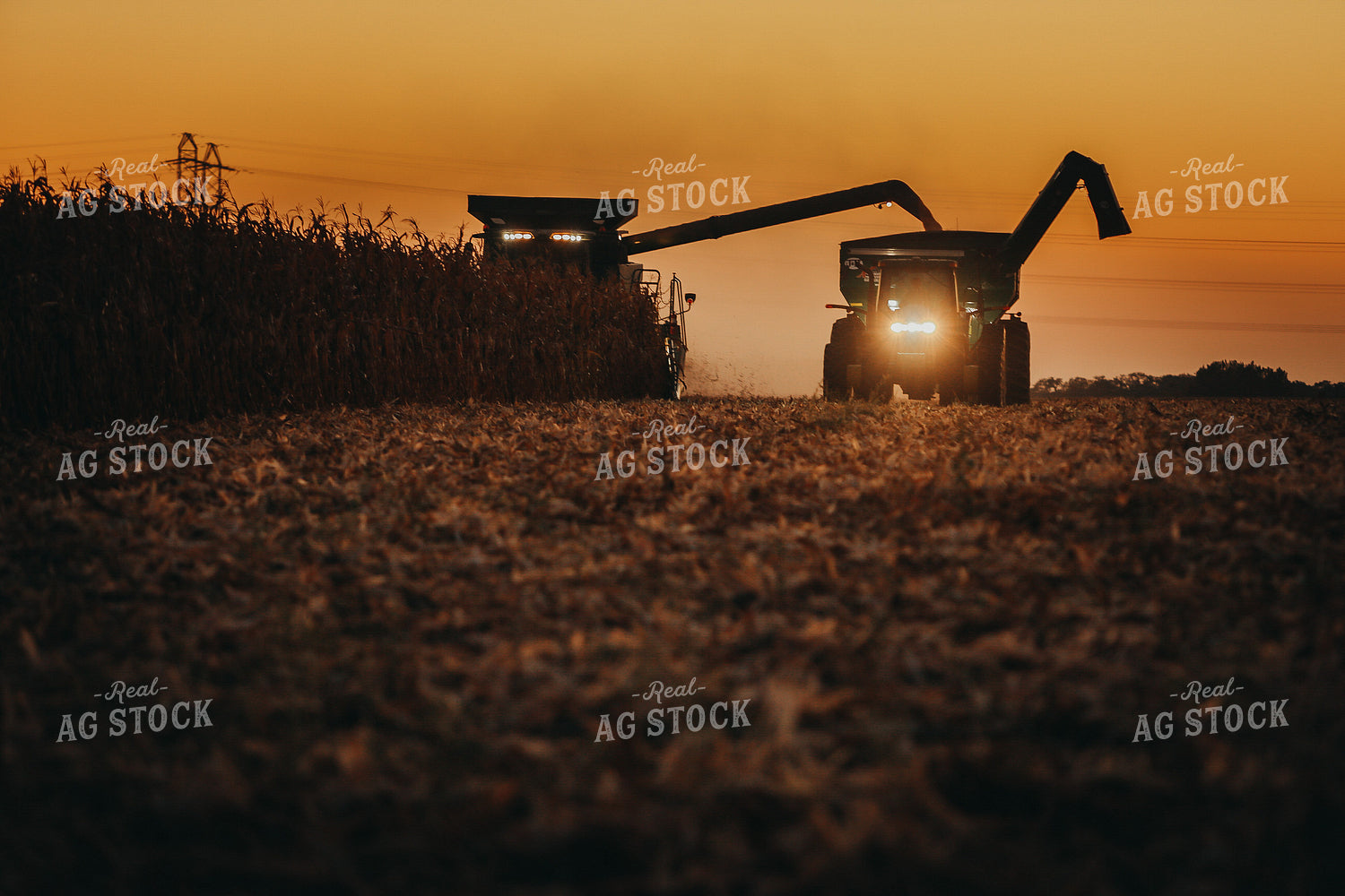 Combine and Auger Cart Harvesting Corn Field 5248