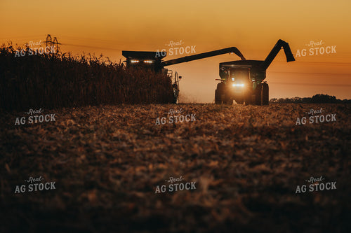 Combine and Auger Cart Harvesting Corn Field 5248