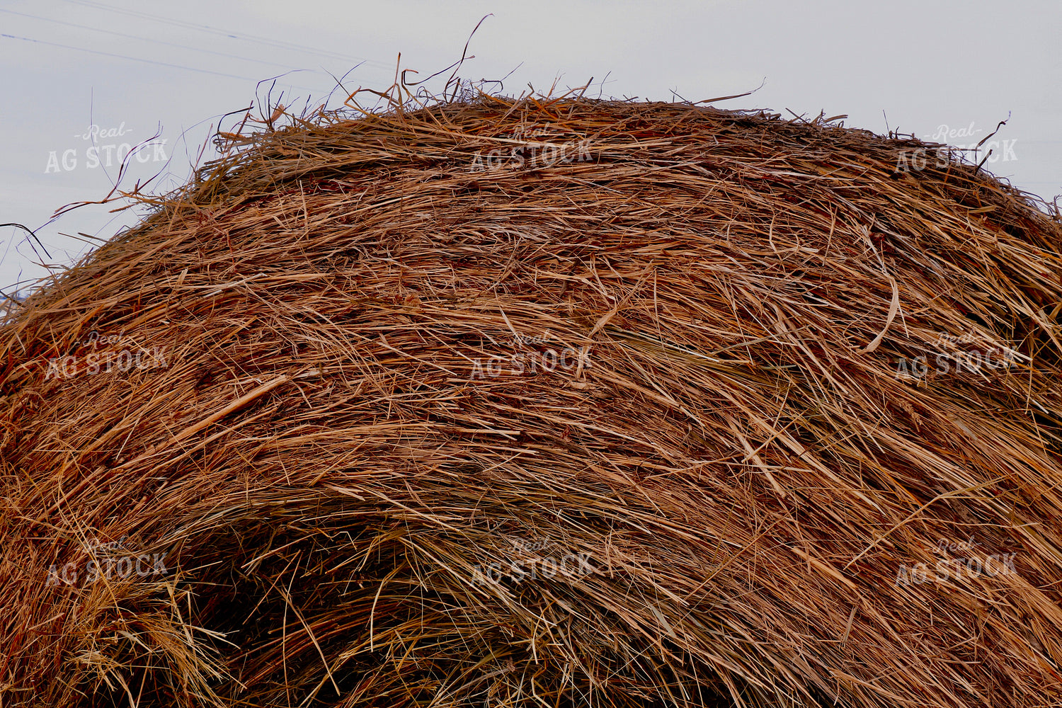 Hay Bale Close Up 299228