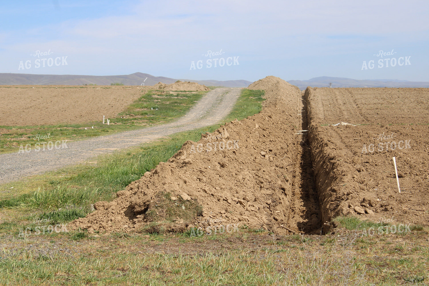 Field Trench 198027