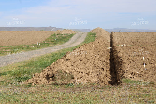 Field Trench 198027
