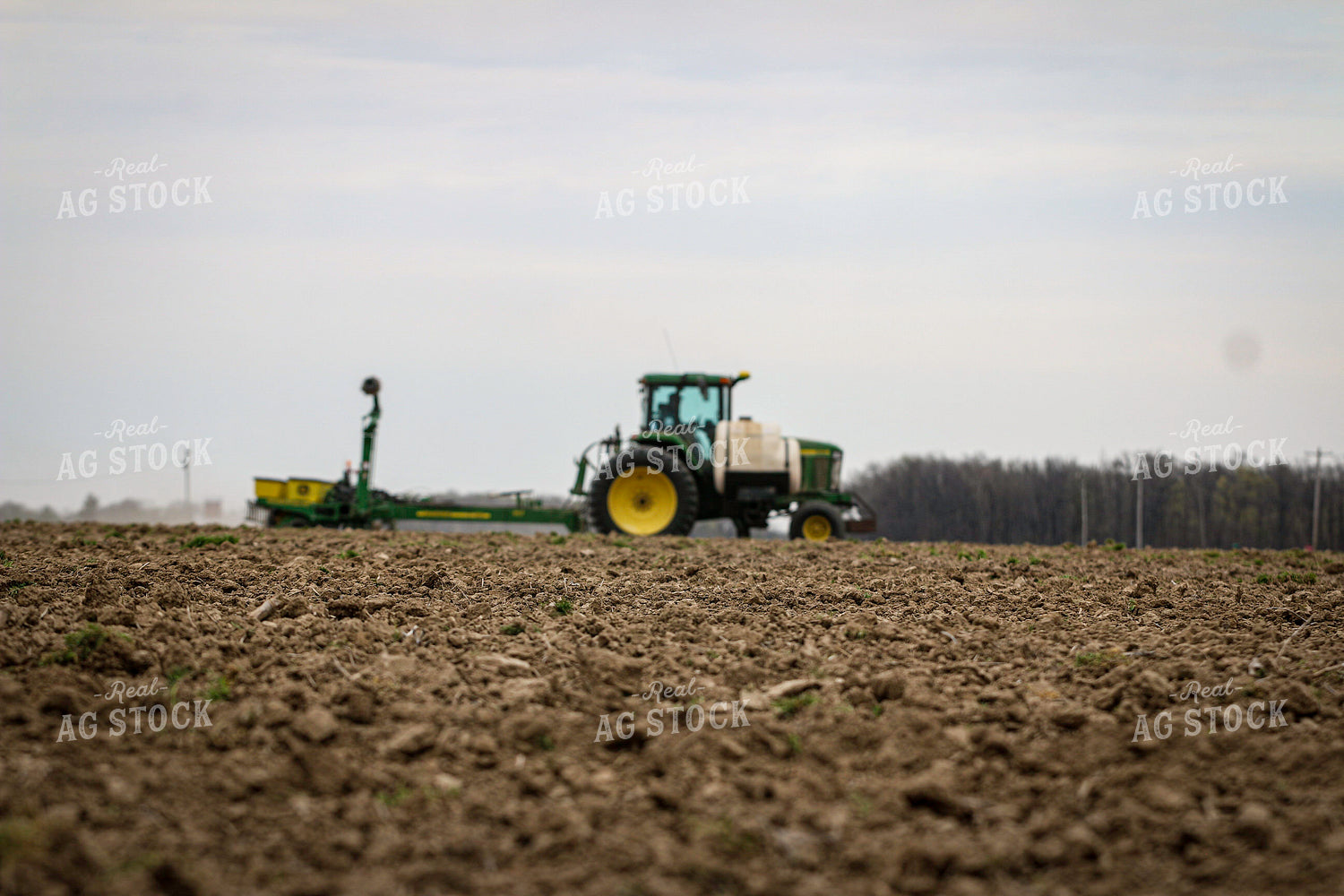 Planting 160353
