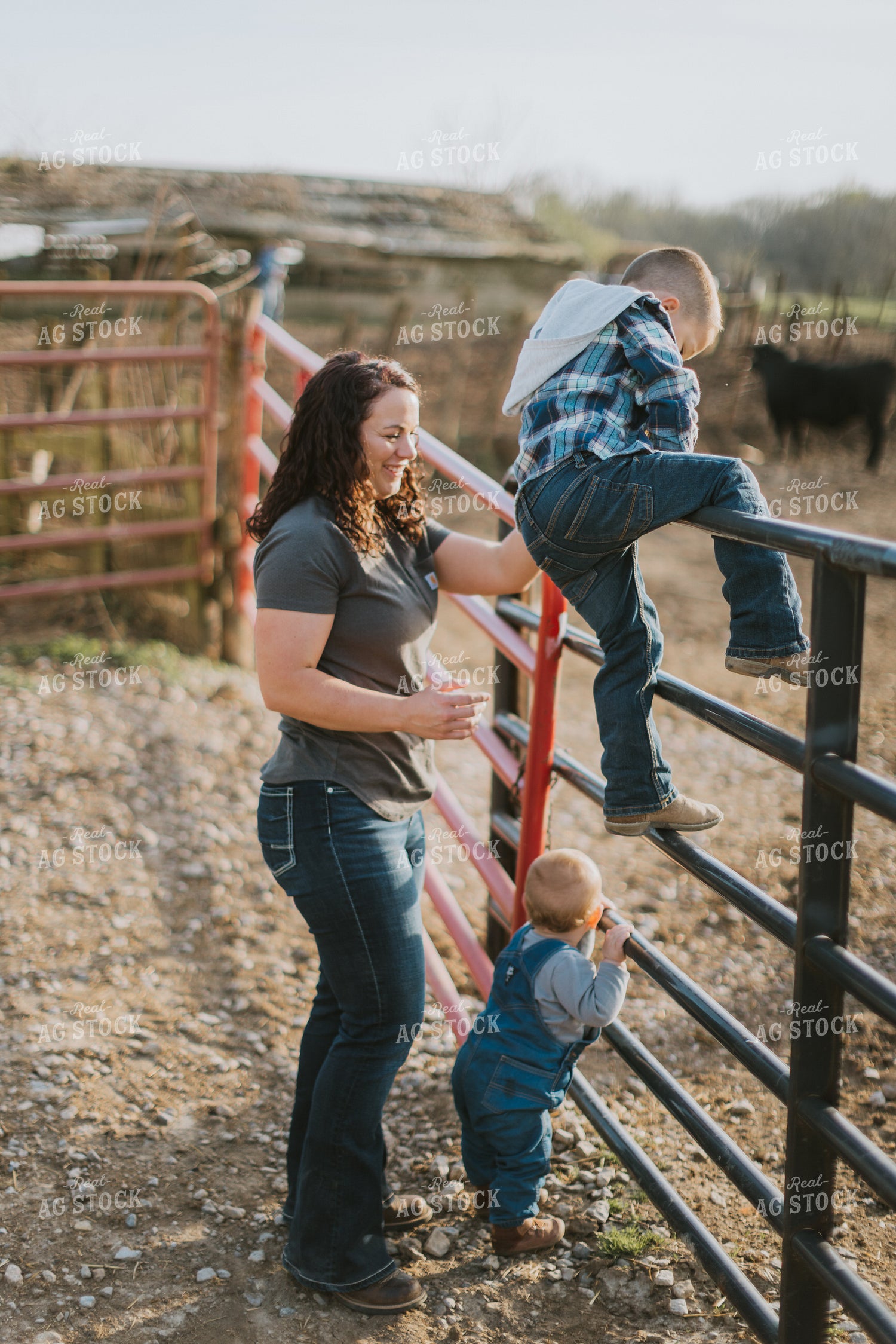 Farm Kids Climbing on Fence 7394