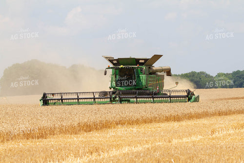 Combining Wheat 79099