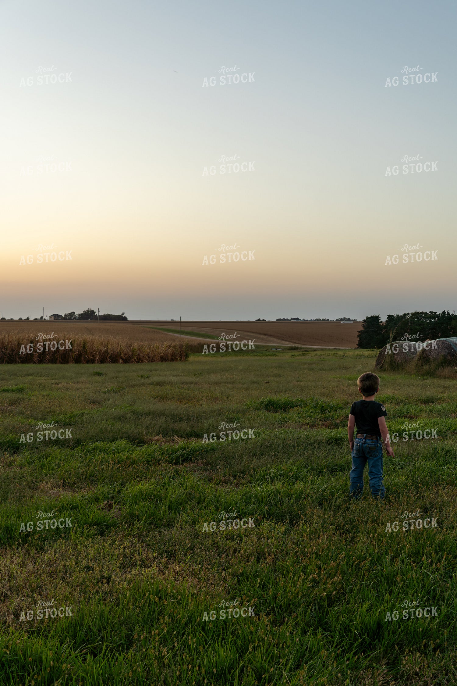 Farm Kid Looking at Rural Landscape 65517