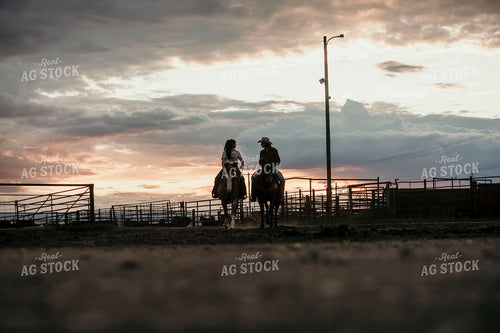 Feedyard 3125