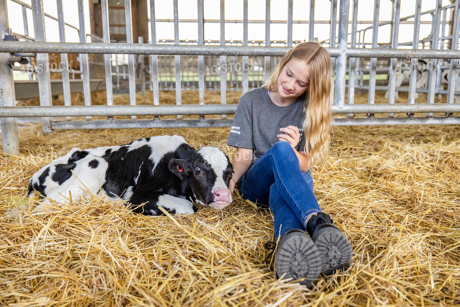 Farm Kid with Holstein Calf 270370