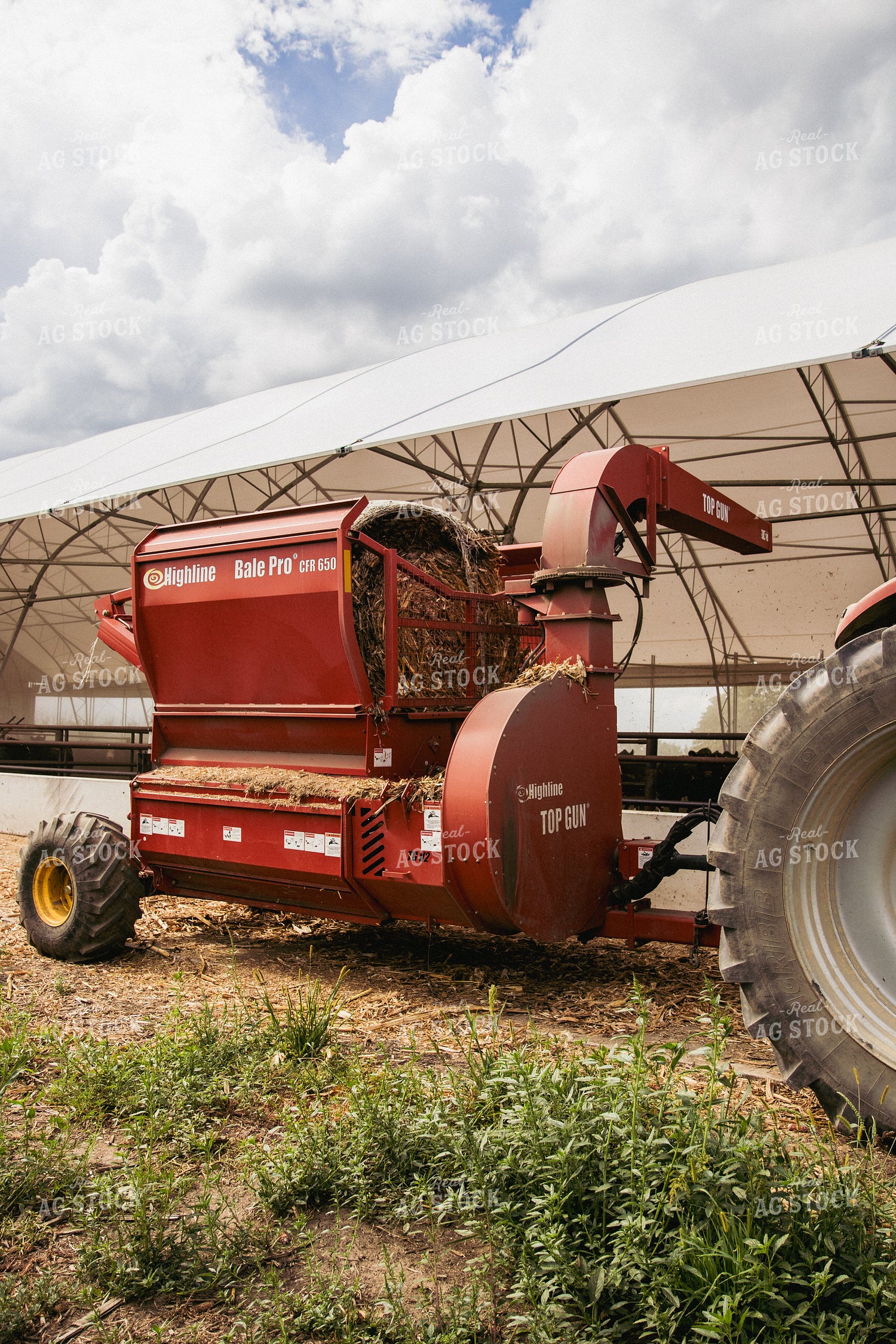 Feeding Silage to Cattle from Round Bale Processor 67408