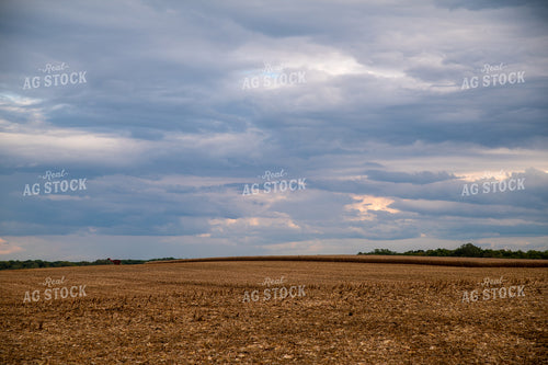 Harvested Corn Field as Storm Approaches 25559