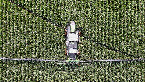 Spraying Corn 79148