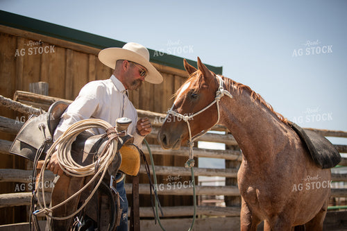Training Colts 78239