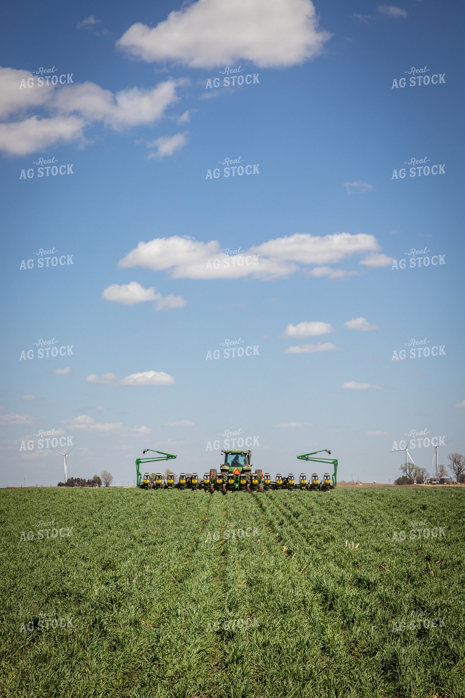 Planting into Cover Crops 67677