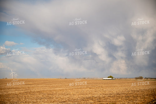 Semi Transporting Grain during Harvest 25842