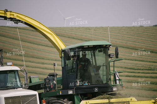 Harvesting Hay Silage 70079