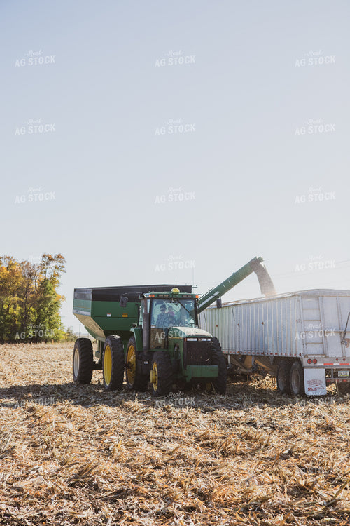 Corn Harvest 67544