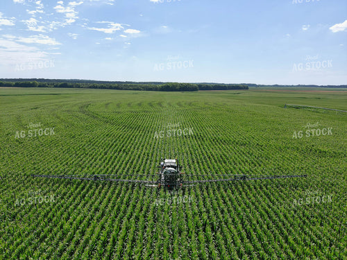 Spraying Corn 79149